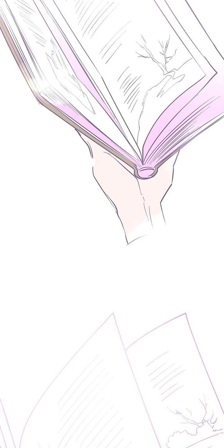 第13章：灵感来源（完结）3