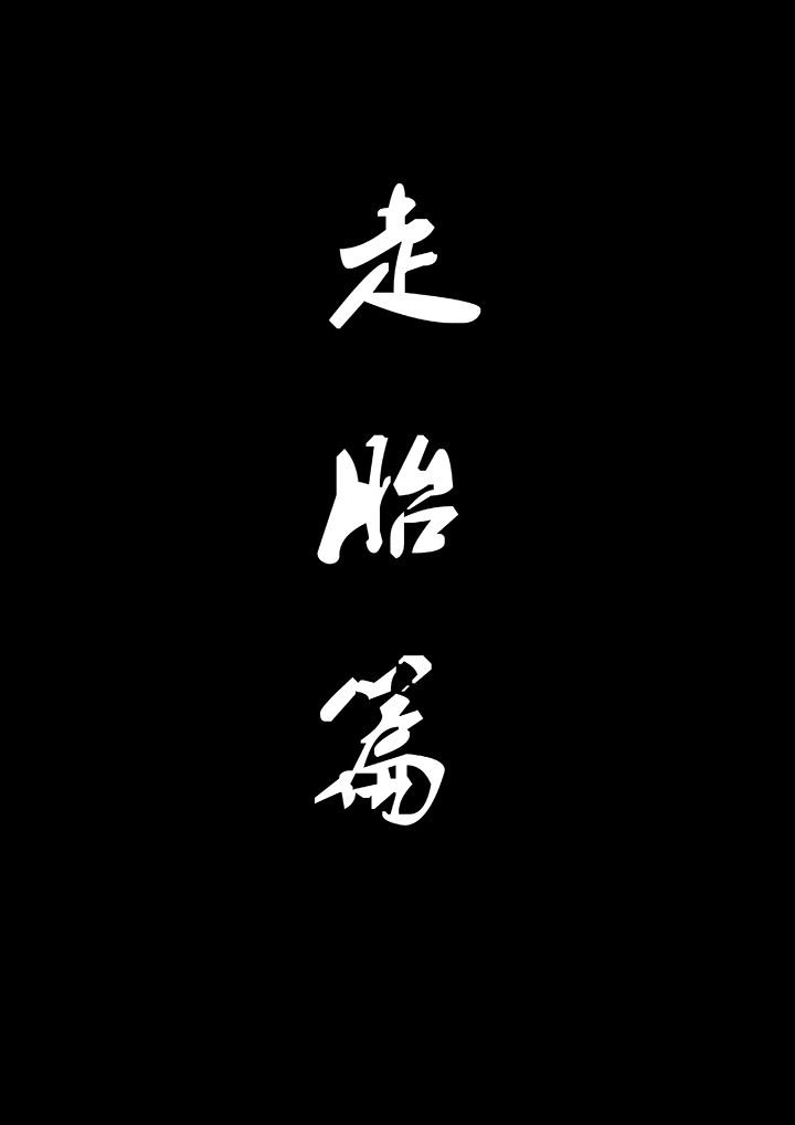 第14章：走胎篇0