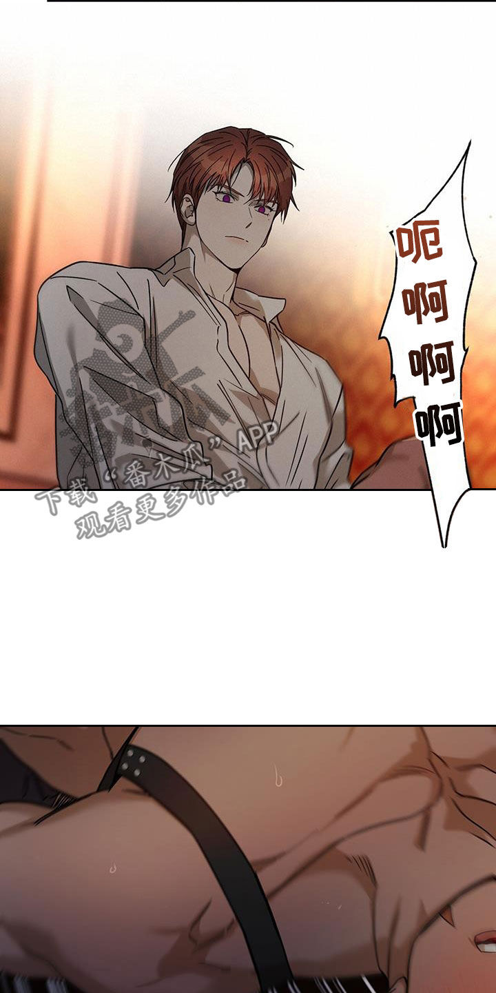 第158章：【第三季】太珍贵了3