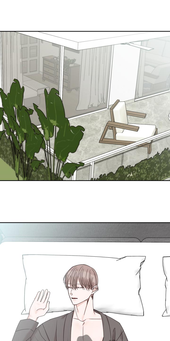 第106章：【番外】散步0