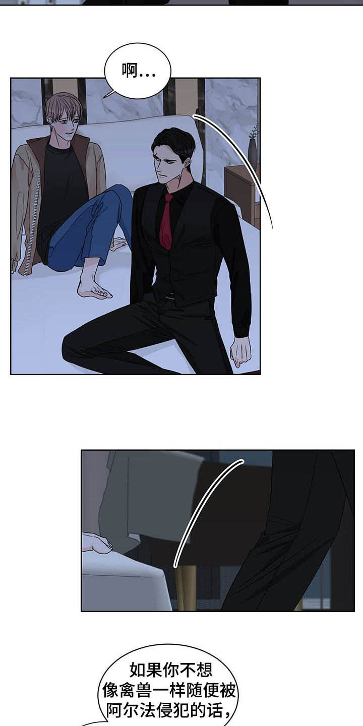 第23章：信息素4