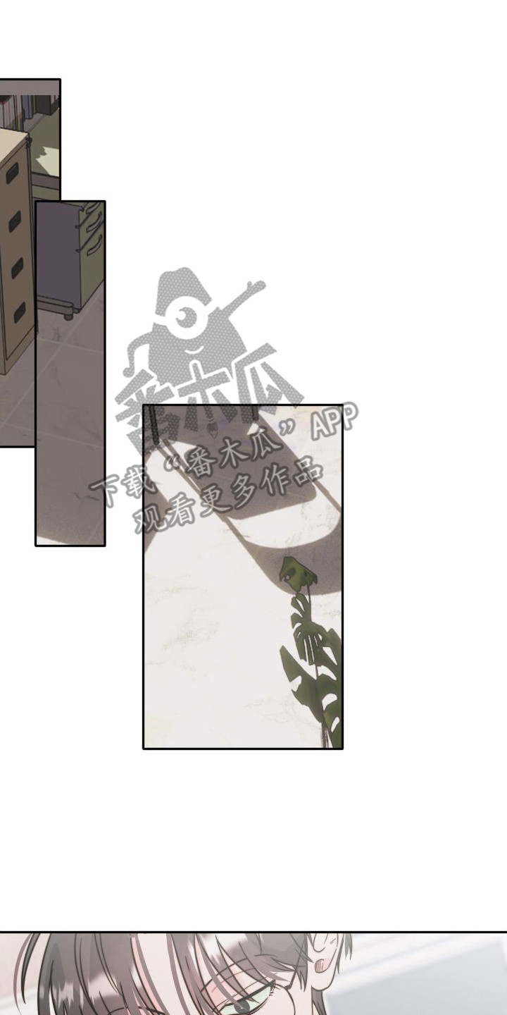 第12章：格子衫0