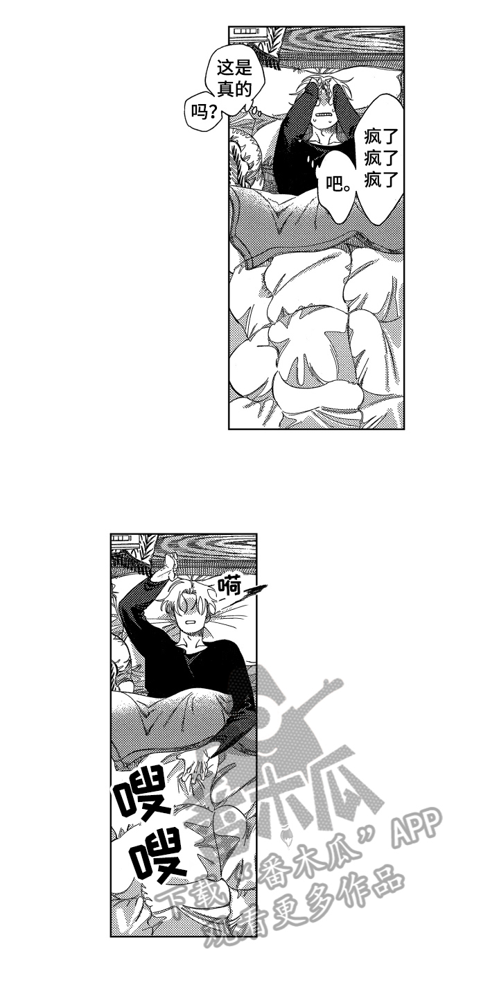 第13章：胡思乱想4