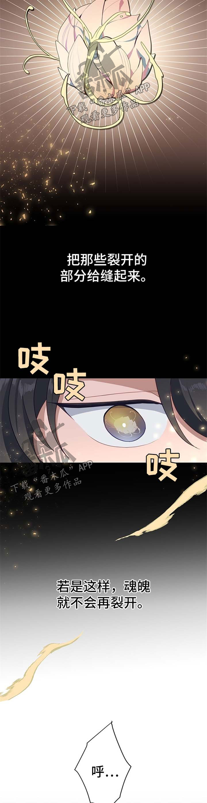 第53章：很有看头4