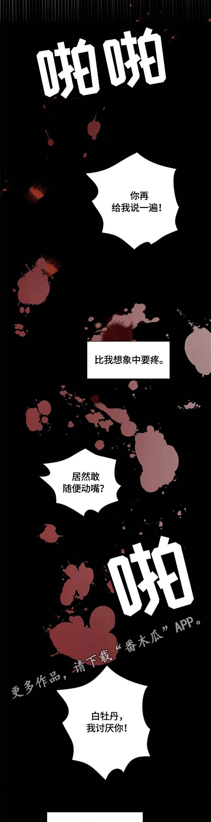 第5章：内力4