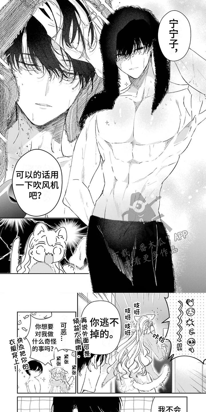 第8章：很可爱0