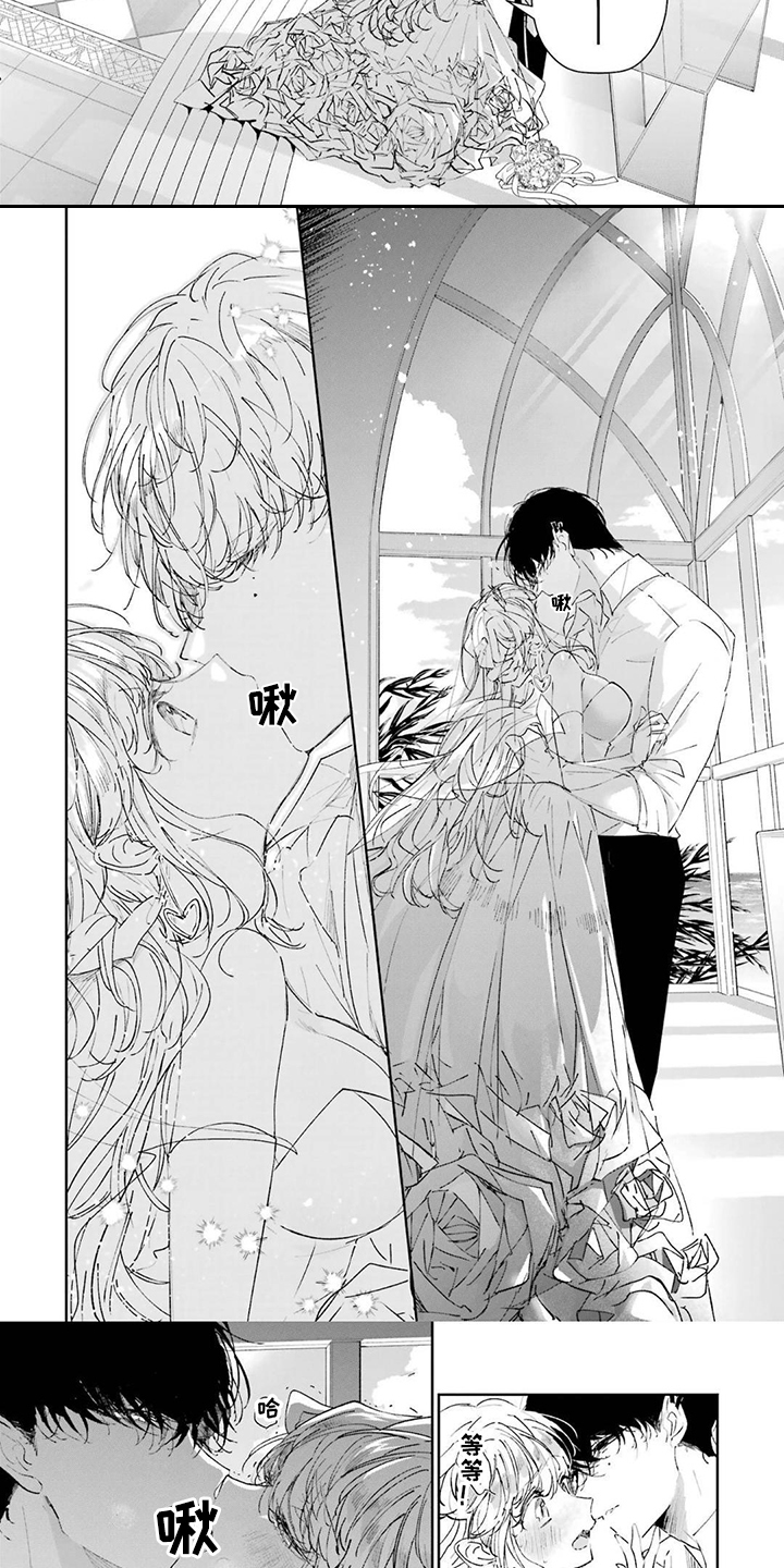 第5章：灰姑娘2