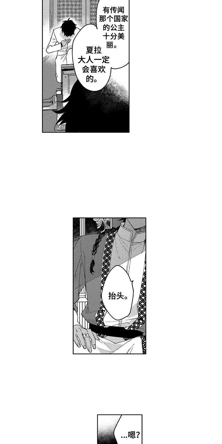 第1章：王位继承者2