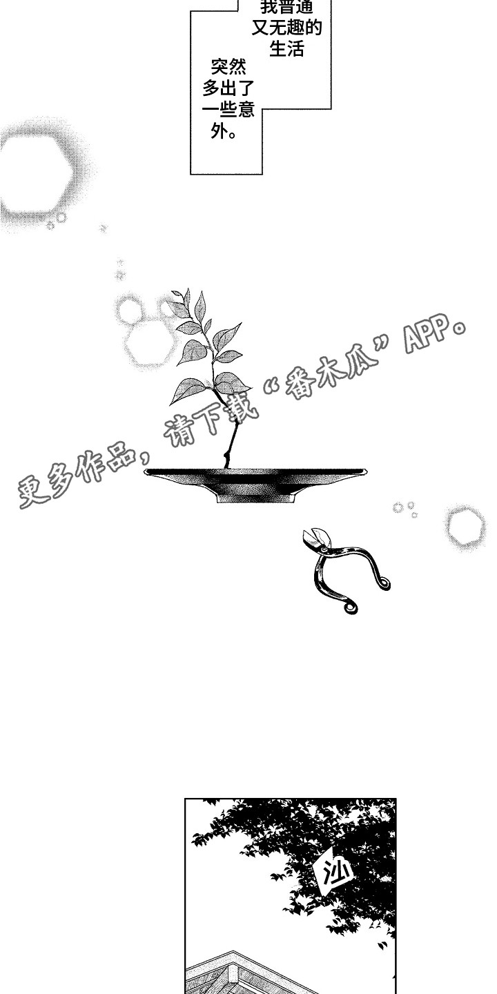 第6章：又来了4