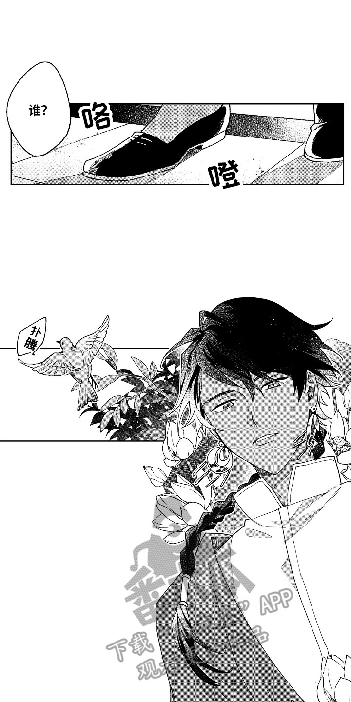 第5章：不是梦0