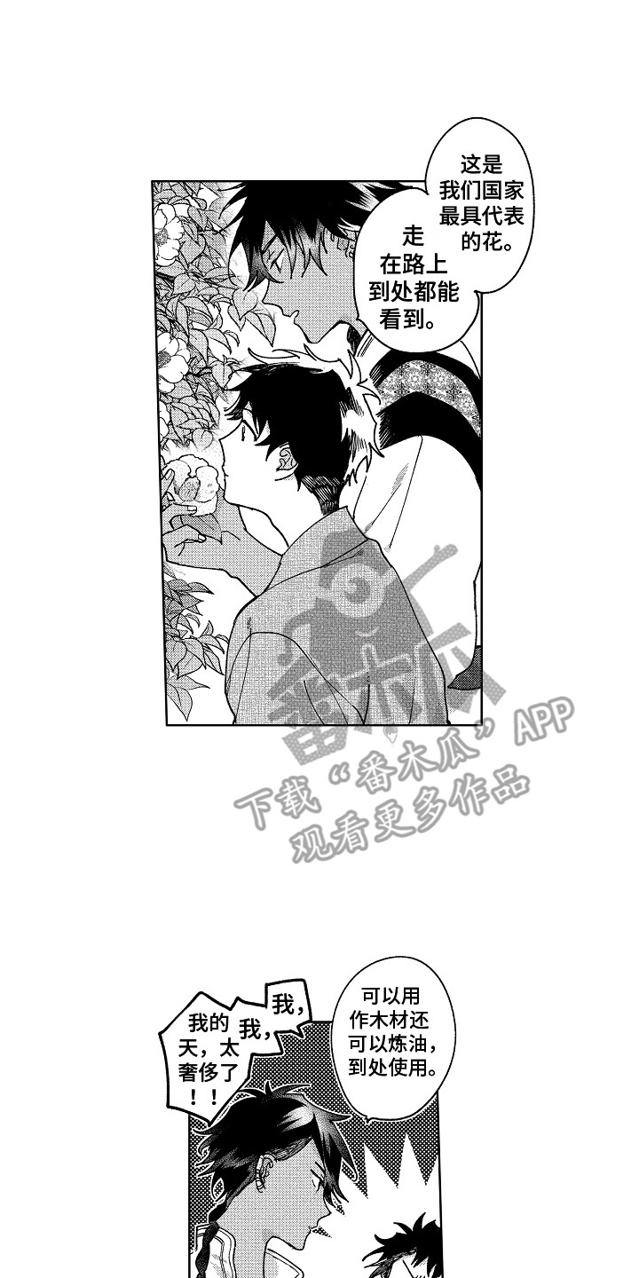 第20章：微妙的感情1