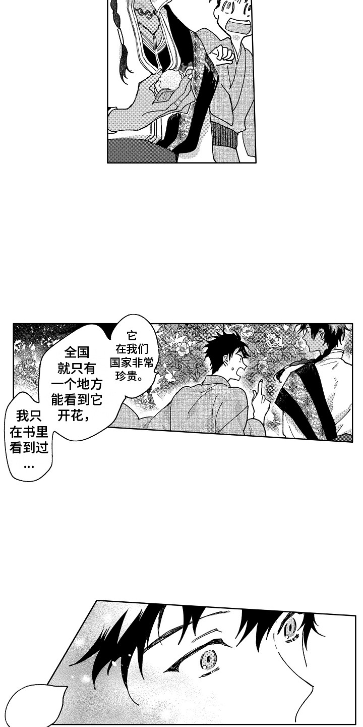 第20章：微妙的感情2