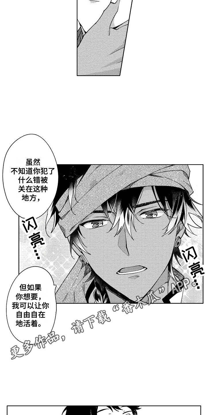 第11章：想出去3