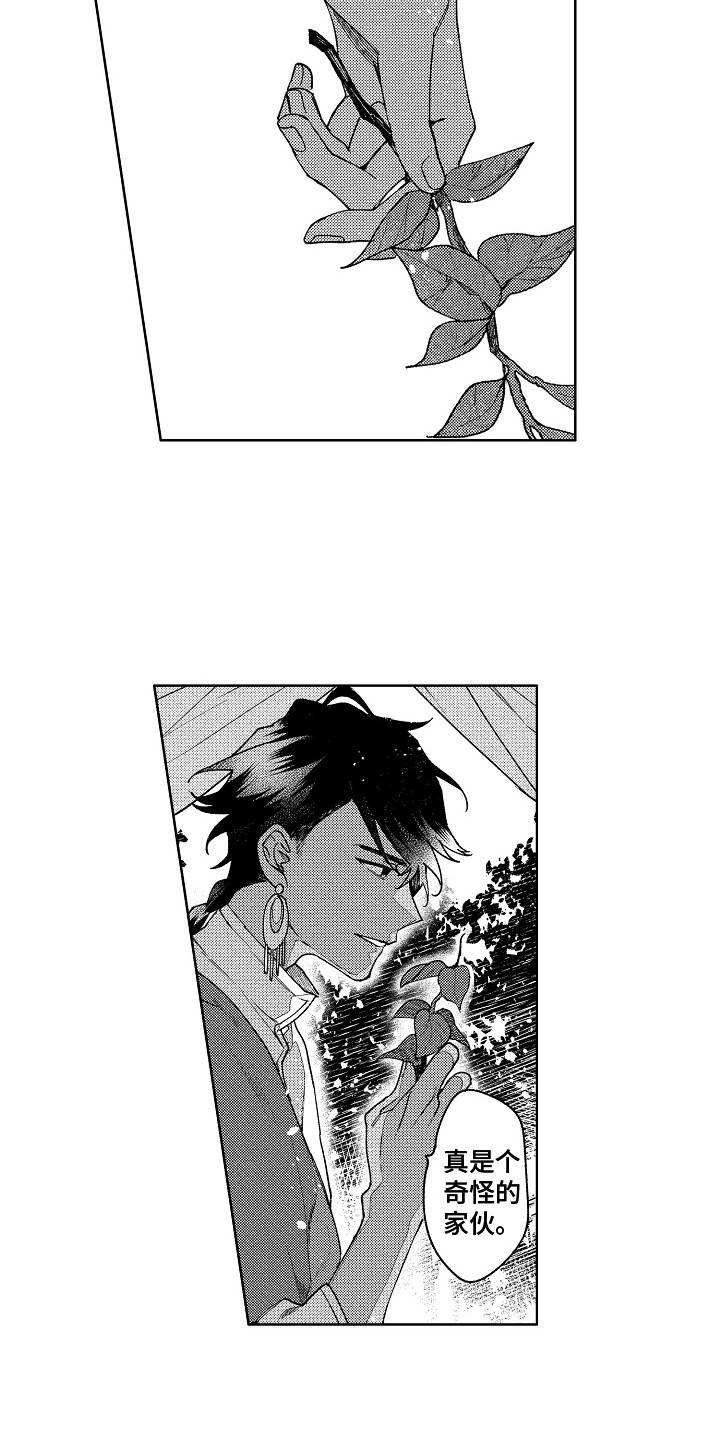 第6章：又来了2