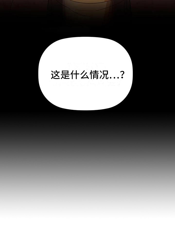 第16章：不管了0
