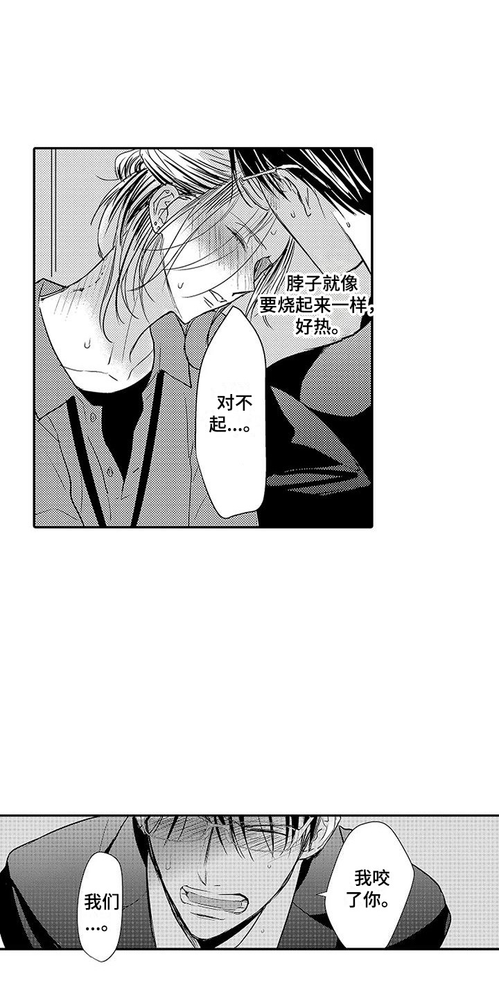 第3章：结为伴侣4