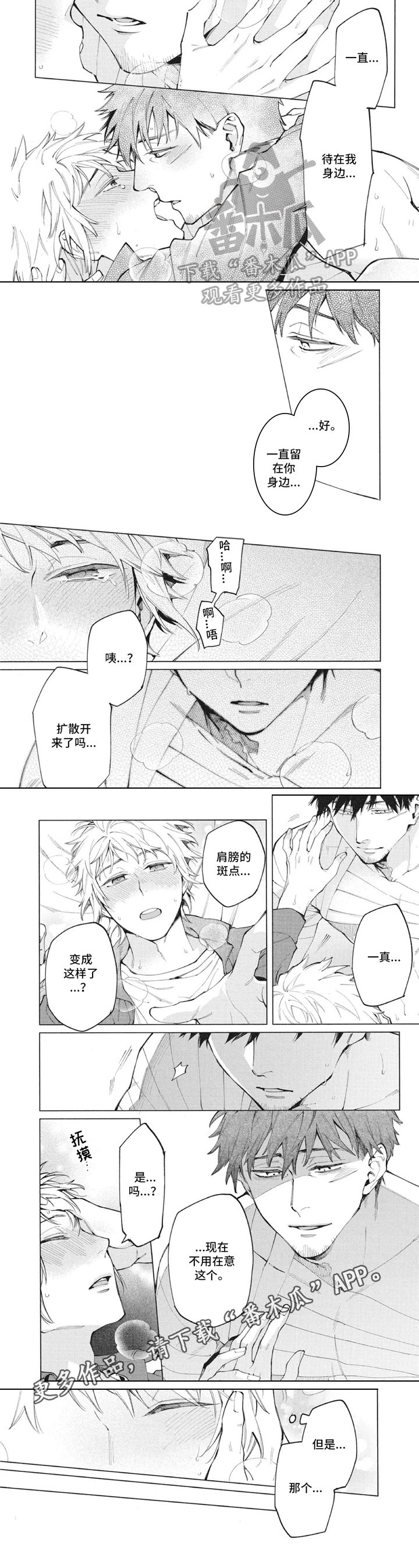 第27章：扩散3
