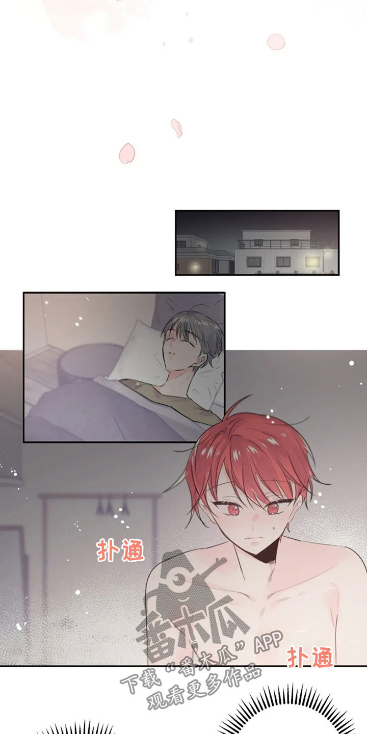 第37章：怎么回事4