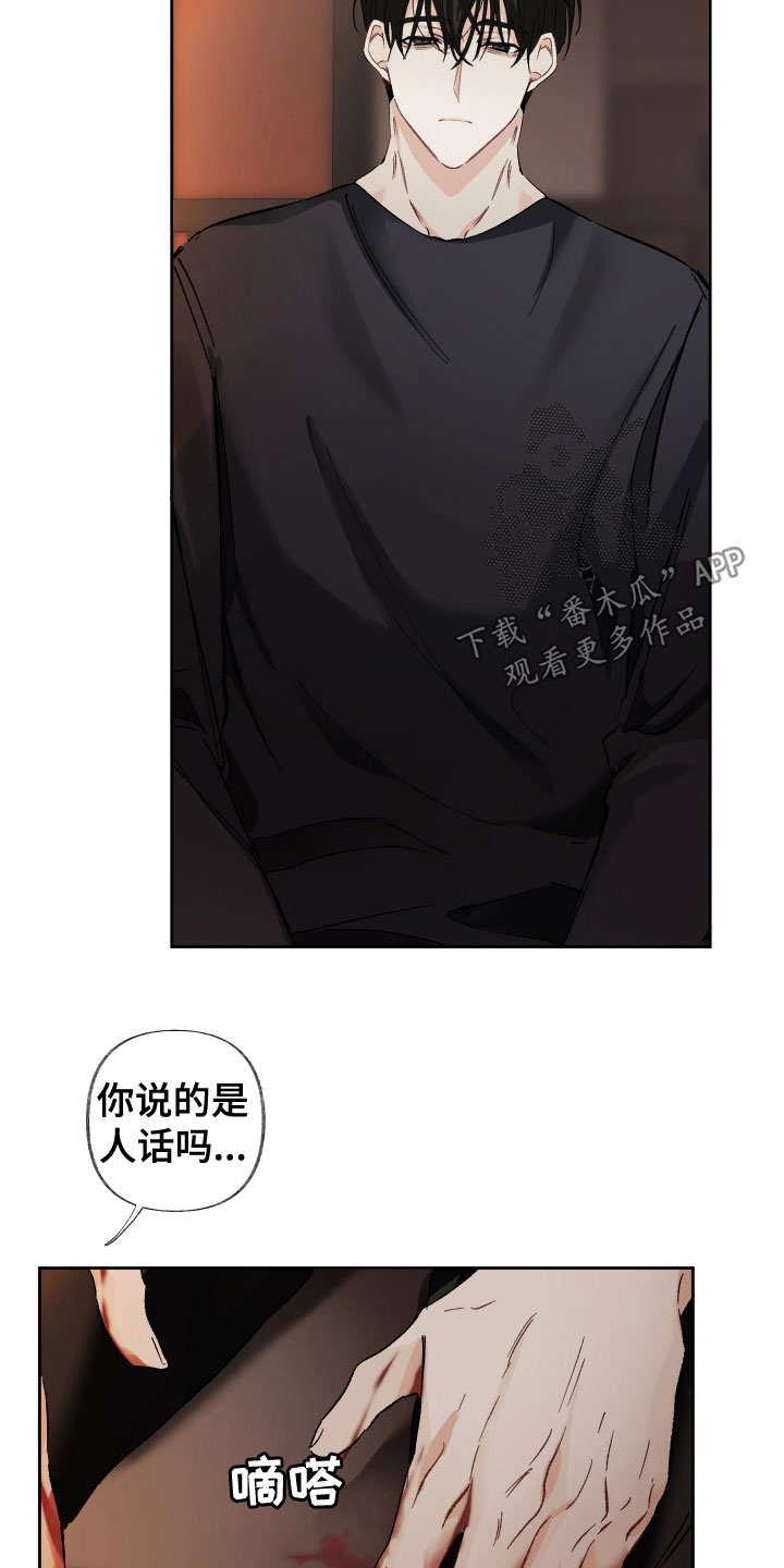 第39章：不理解3