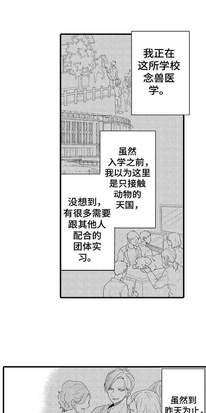 第2章：特殊的能力0