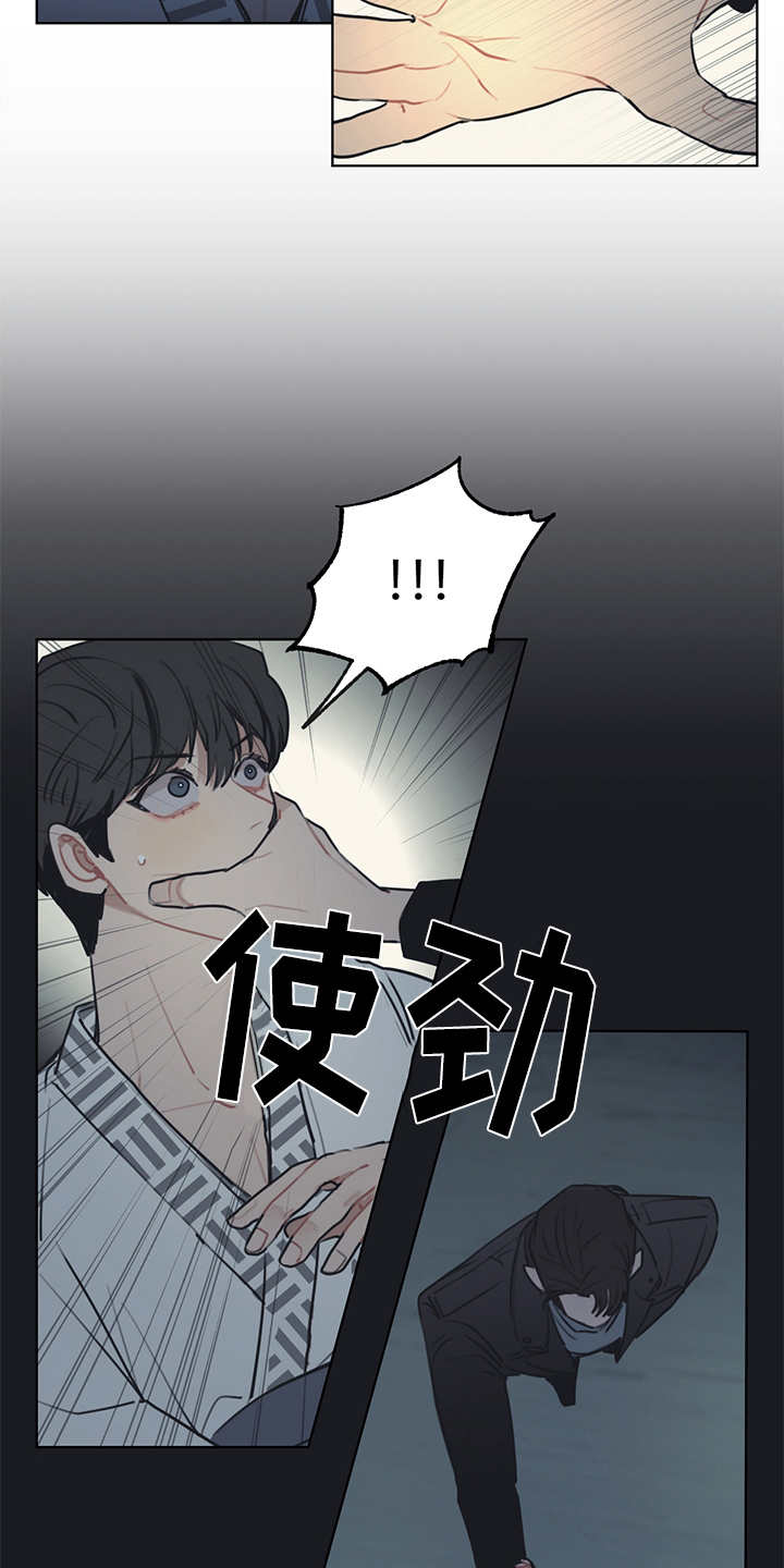 第52章：双胞胎2