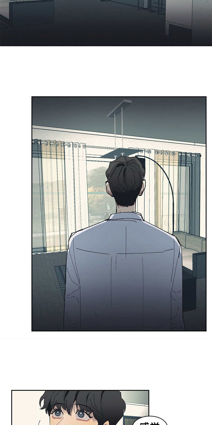 第27章：报告书4