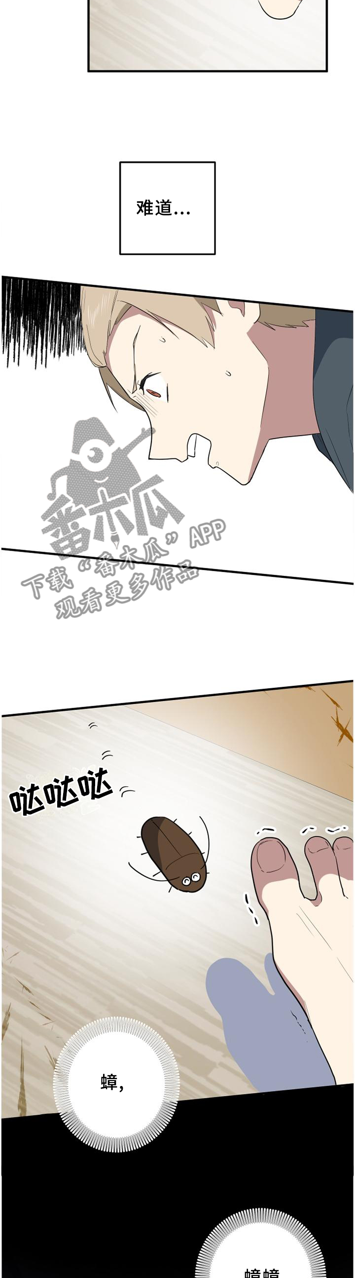 第112章：蟑螂杀手2