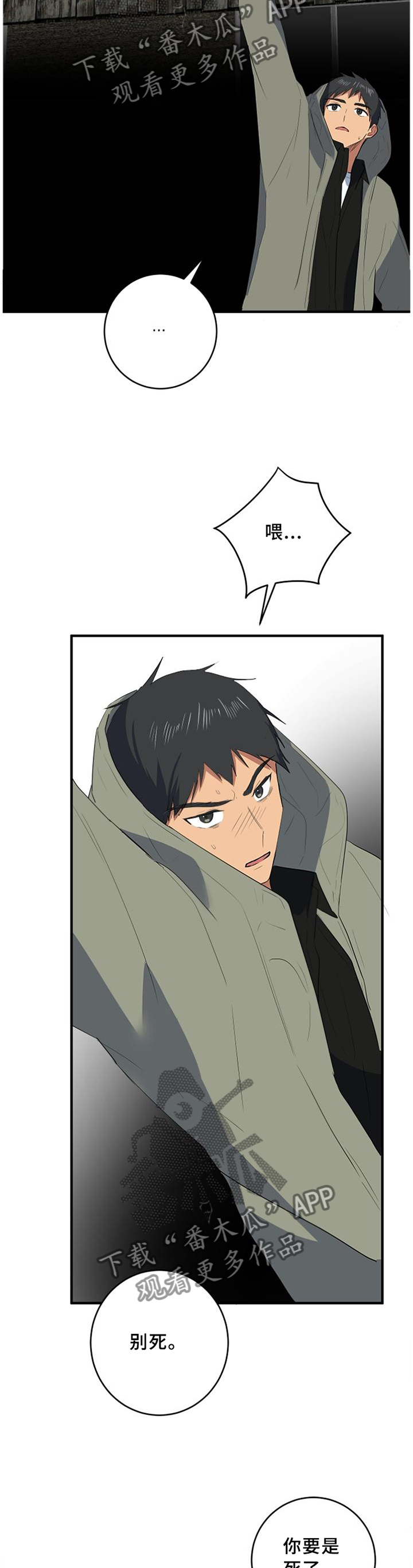 第100章：我喜欢你4