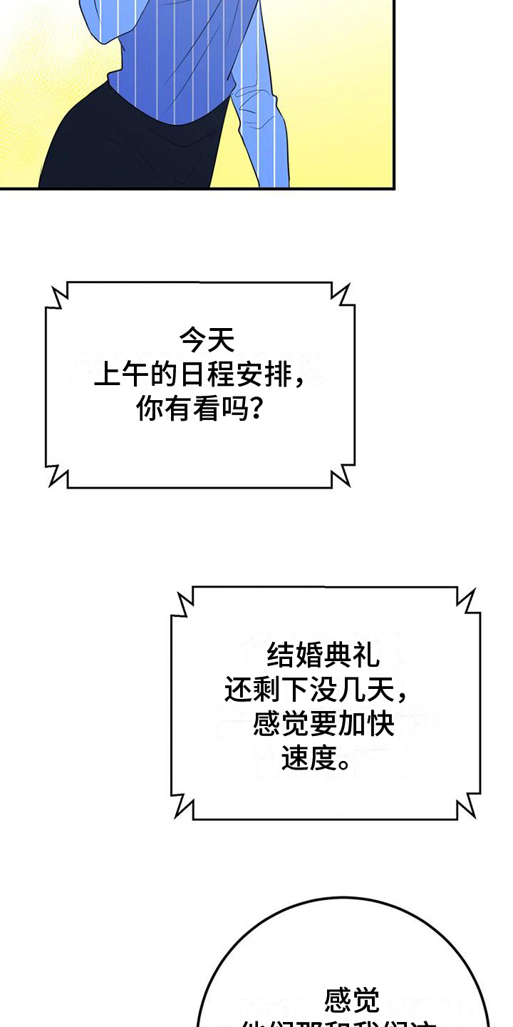 第29章：婚礼策划2