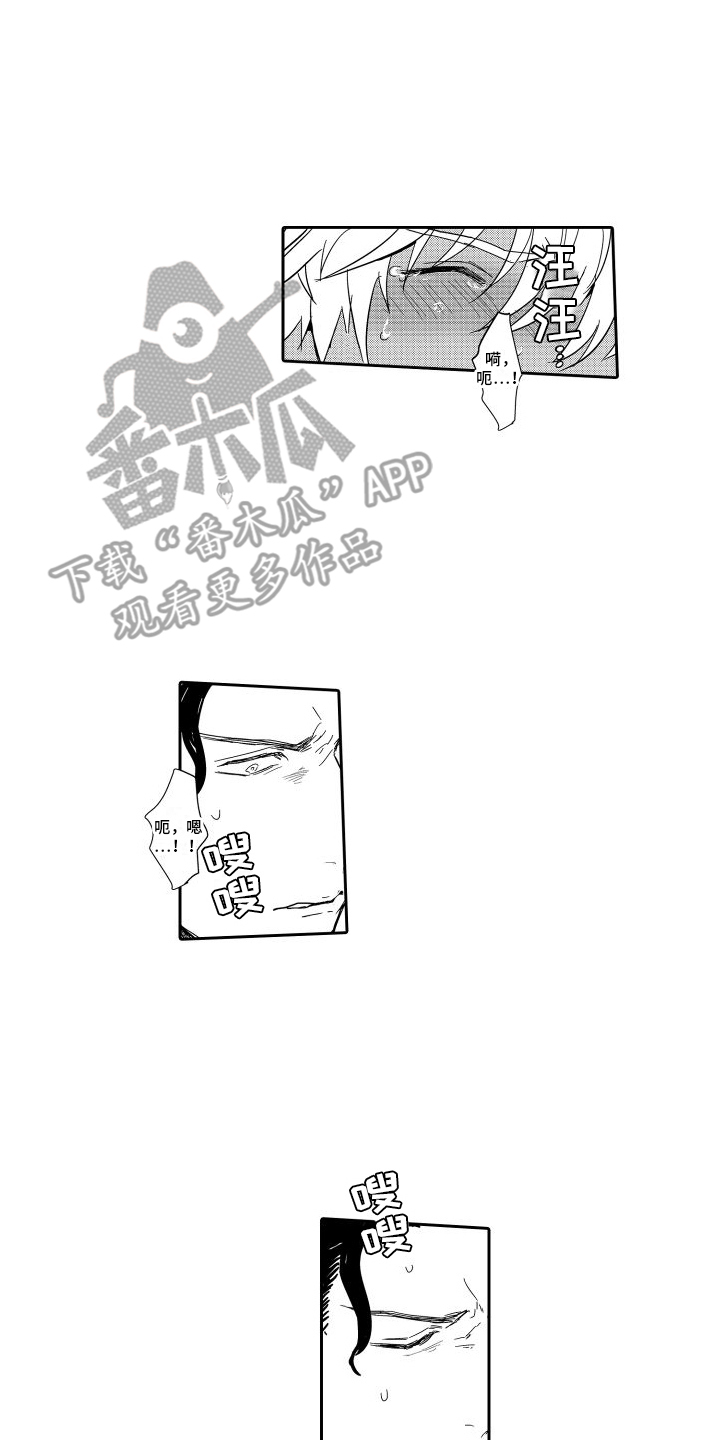 第19章：做不到4