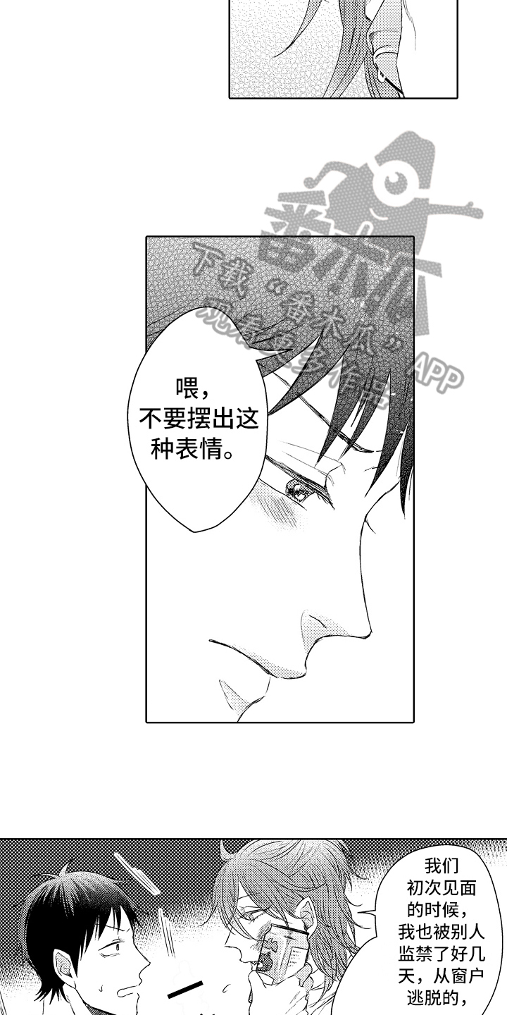 第15章：流浪猫2