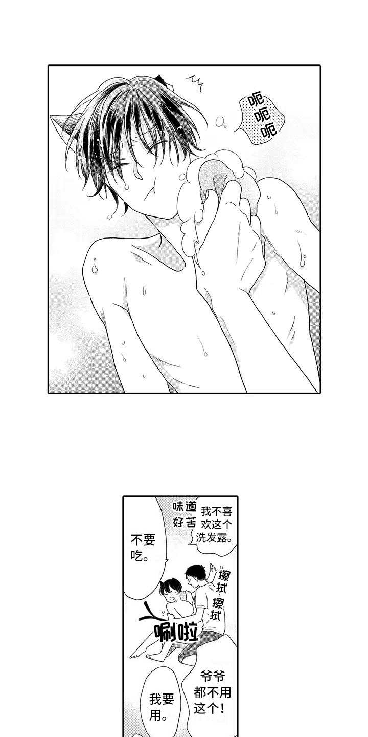 第7章：小精灵0