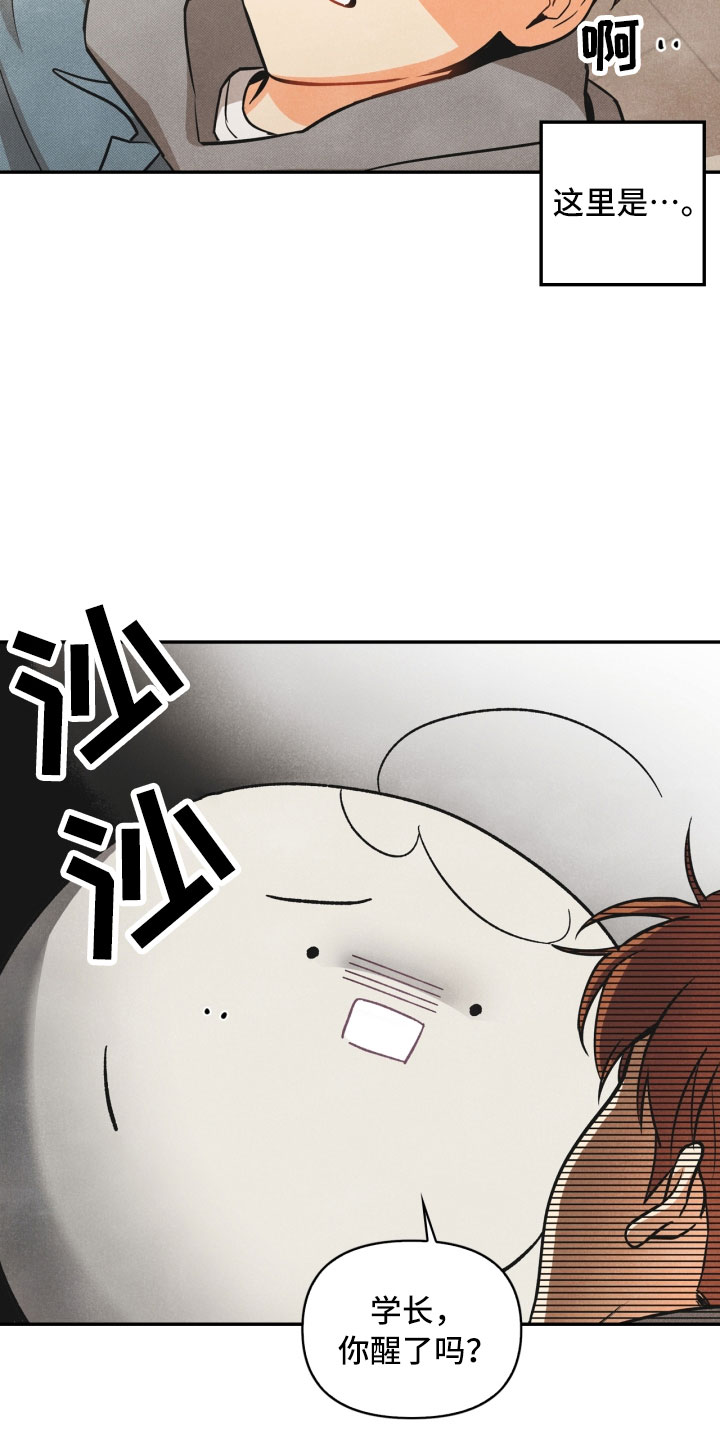 第3章：奇怪的布偶0