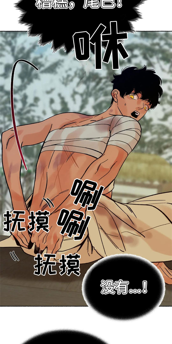 第14章：差点暴露1