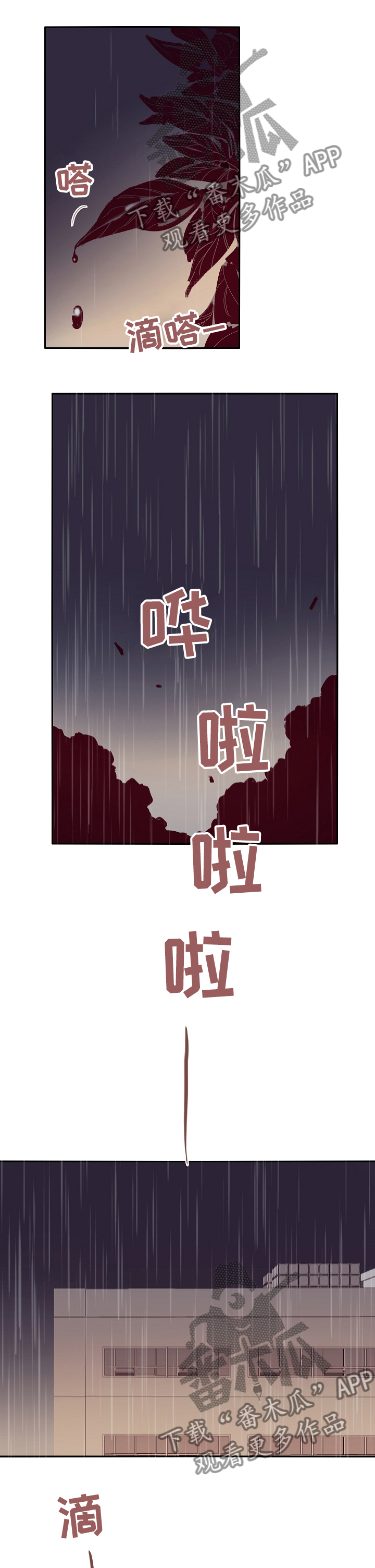 第52章：不一样0