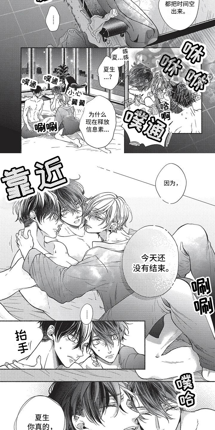 第29章：难忘的生日4