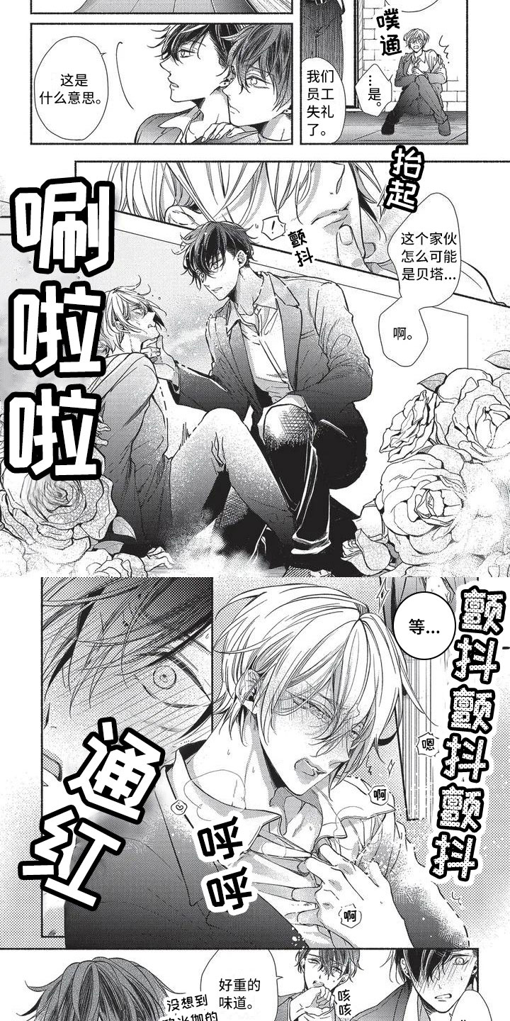 第1章：命运的伴侣3