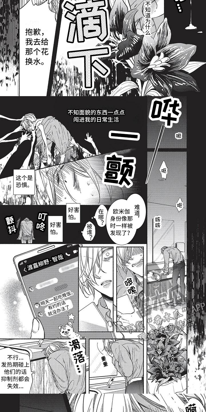 第19章：黑百合1