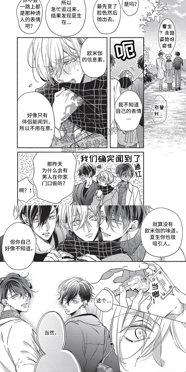 第28章：新房子2