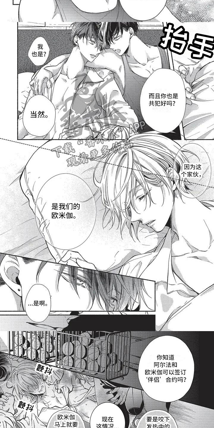 第8章：是我们的1