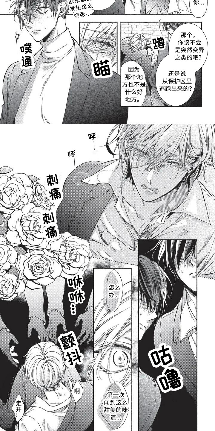 第1章：命运的伴侣4