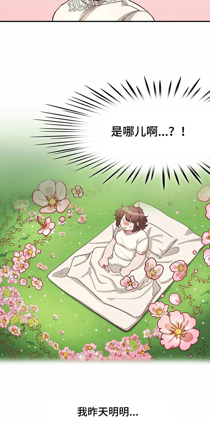 第34章：似梦非梦1