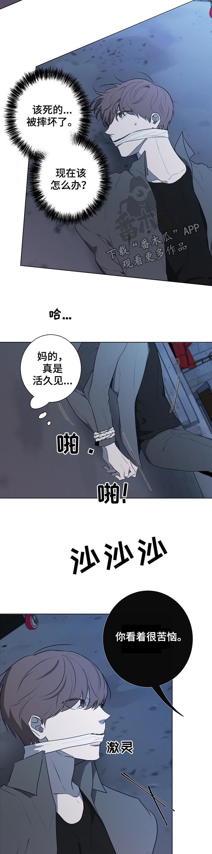 第74章：都是你的错1