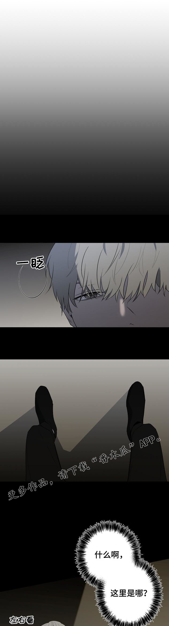 第79章：不懂事0