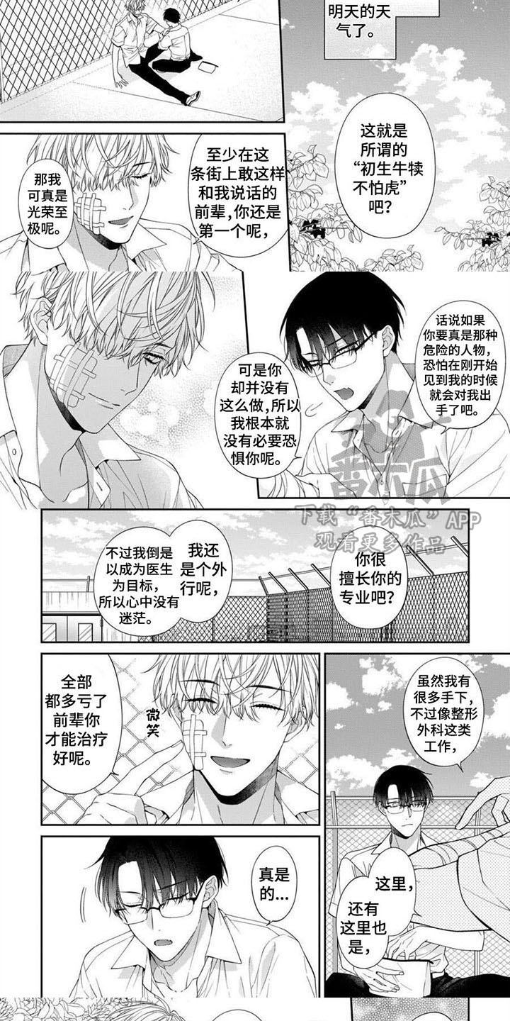 第8章：安心感4