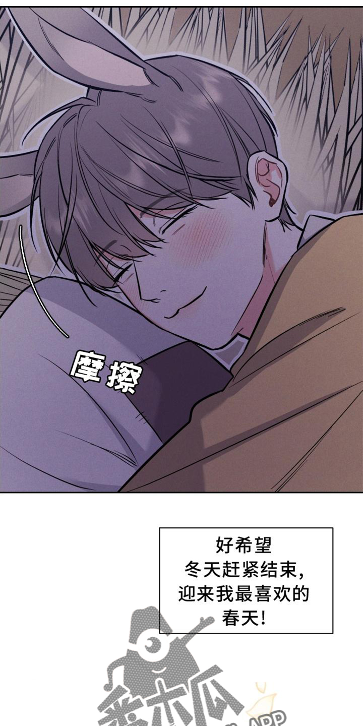 第39章：兔子【特别篇】3