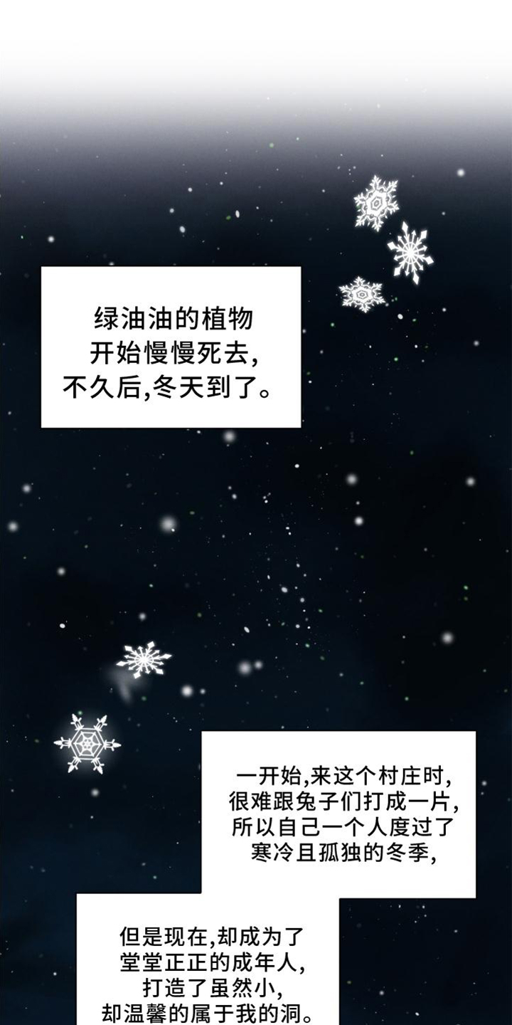 第39章：兔子【特别篇】0