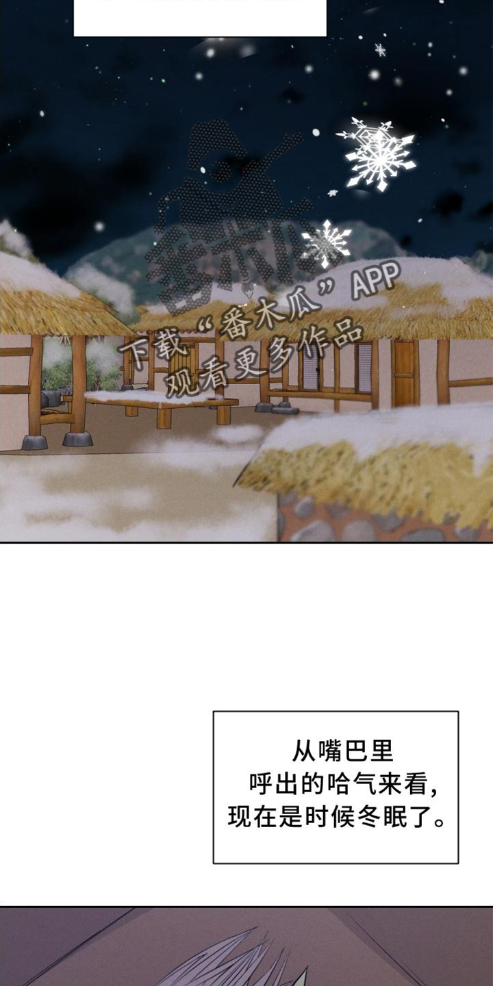 第39章：兔子【特别篇】1