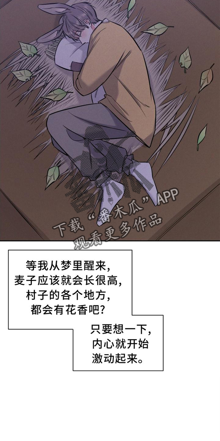 第39章：兔子【特别篇】2