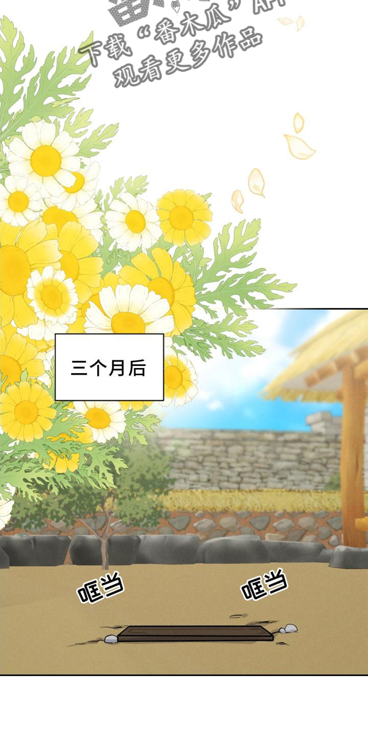 第39章：兔子【特别篇】4